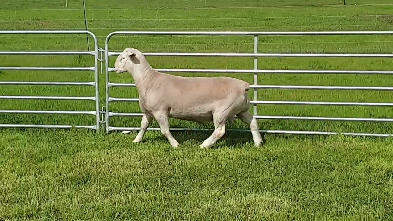 220023