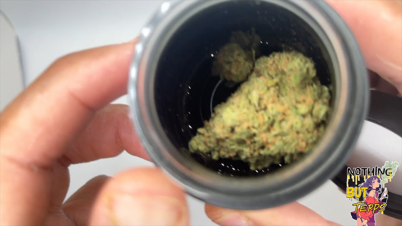 Best Blue Dream Strain Review