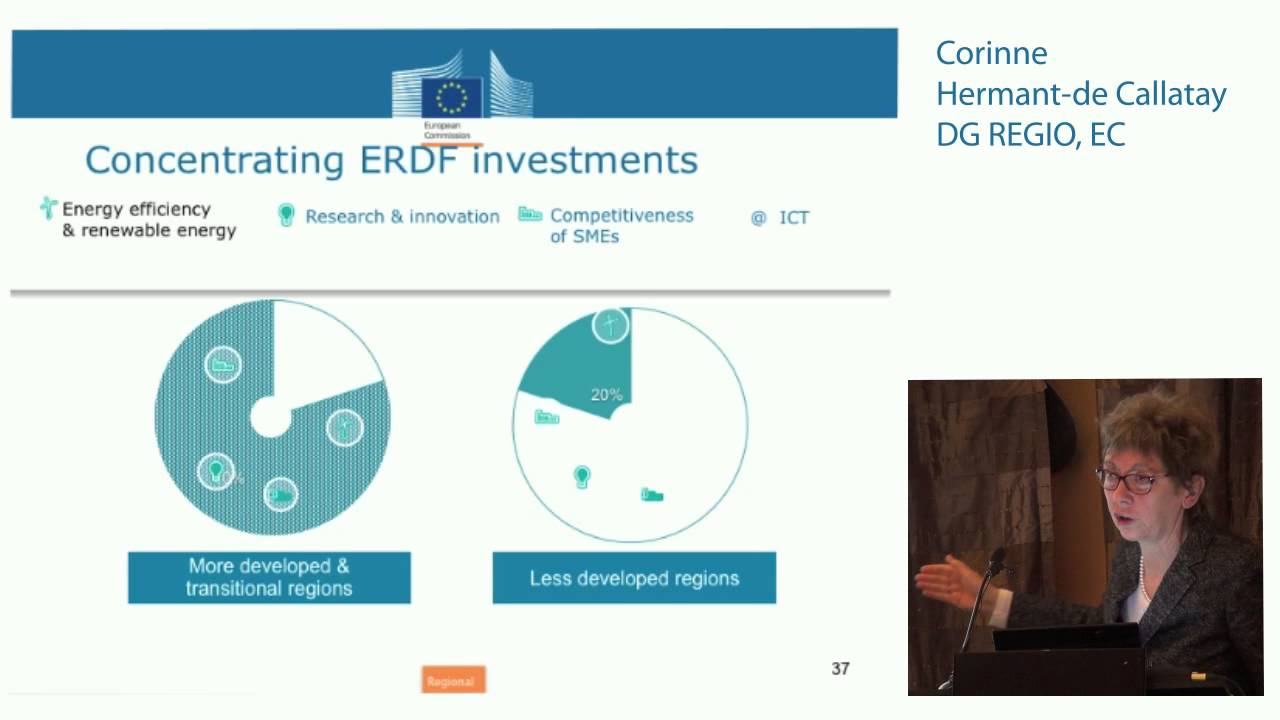 Corinne Hermant-de Callata&yuml;, DG REGIO: the European context; regional development perspective