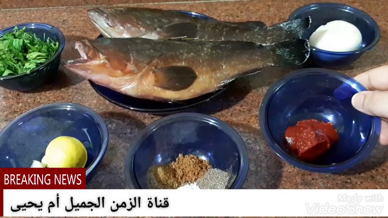 شوربة السمك الوقار(مراجة السمك)