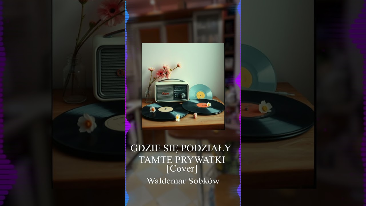 Gdzie się podziały tamte prywatki [Cover moja wersja]