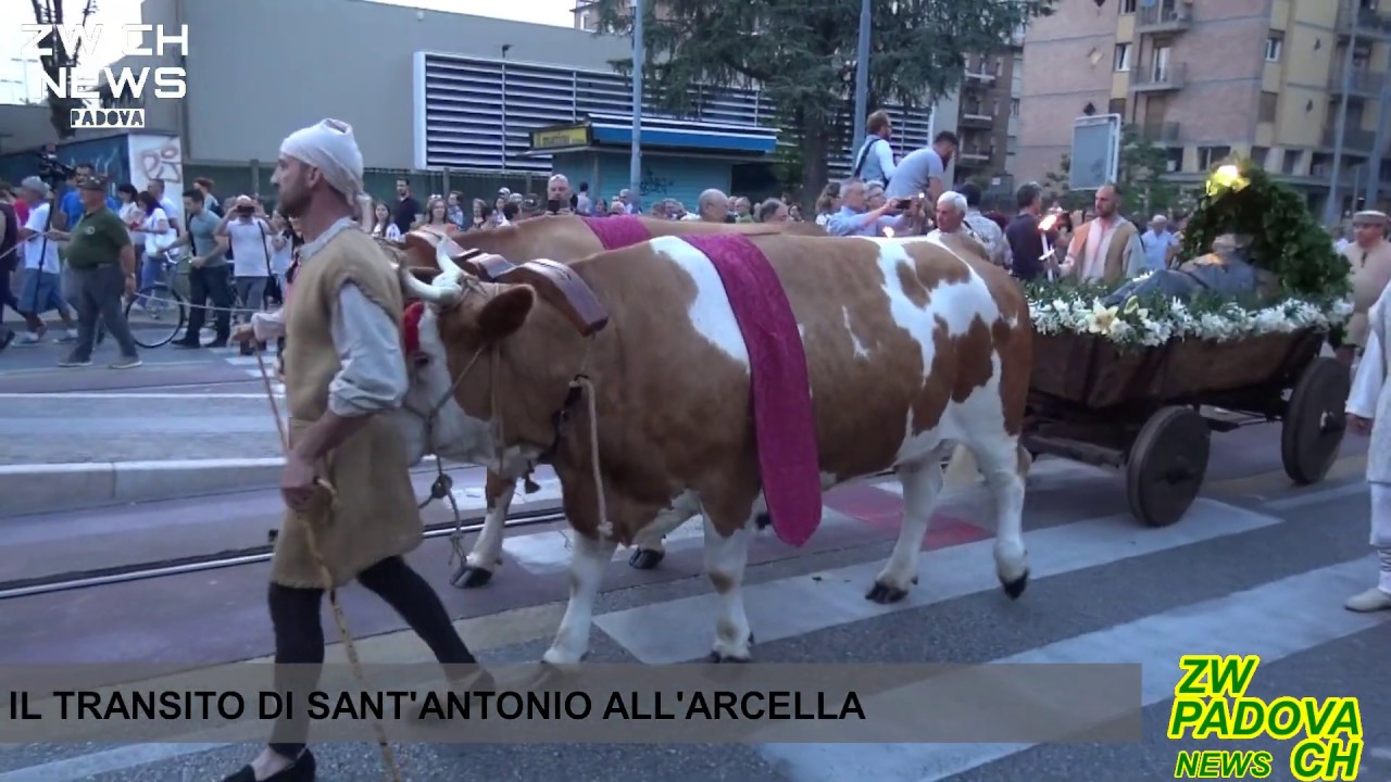 Il transito di Sant'Antonio all'Arcella