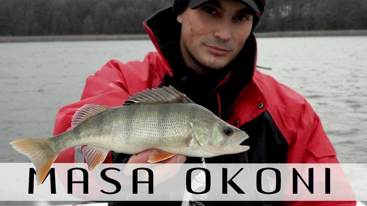 Masa okoni z głębokiej wody | Przynęty na okonia | Okonie na spinning | PogaWędki #11|