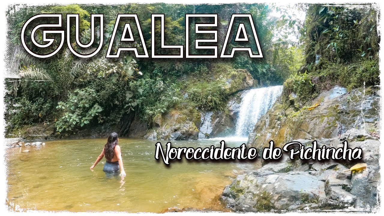 GUALEA 🔴Recorriendo fincas turísticas en el noroccidente de Pichincha ✅Taguas, Toali, Tulipe y Tolas