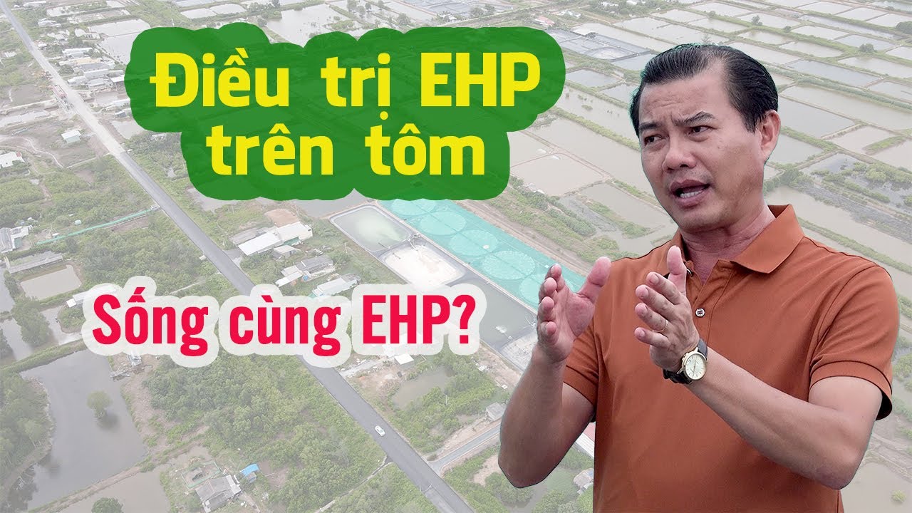 Điều trị đúng cách bệnh EHP trên tôm