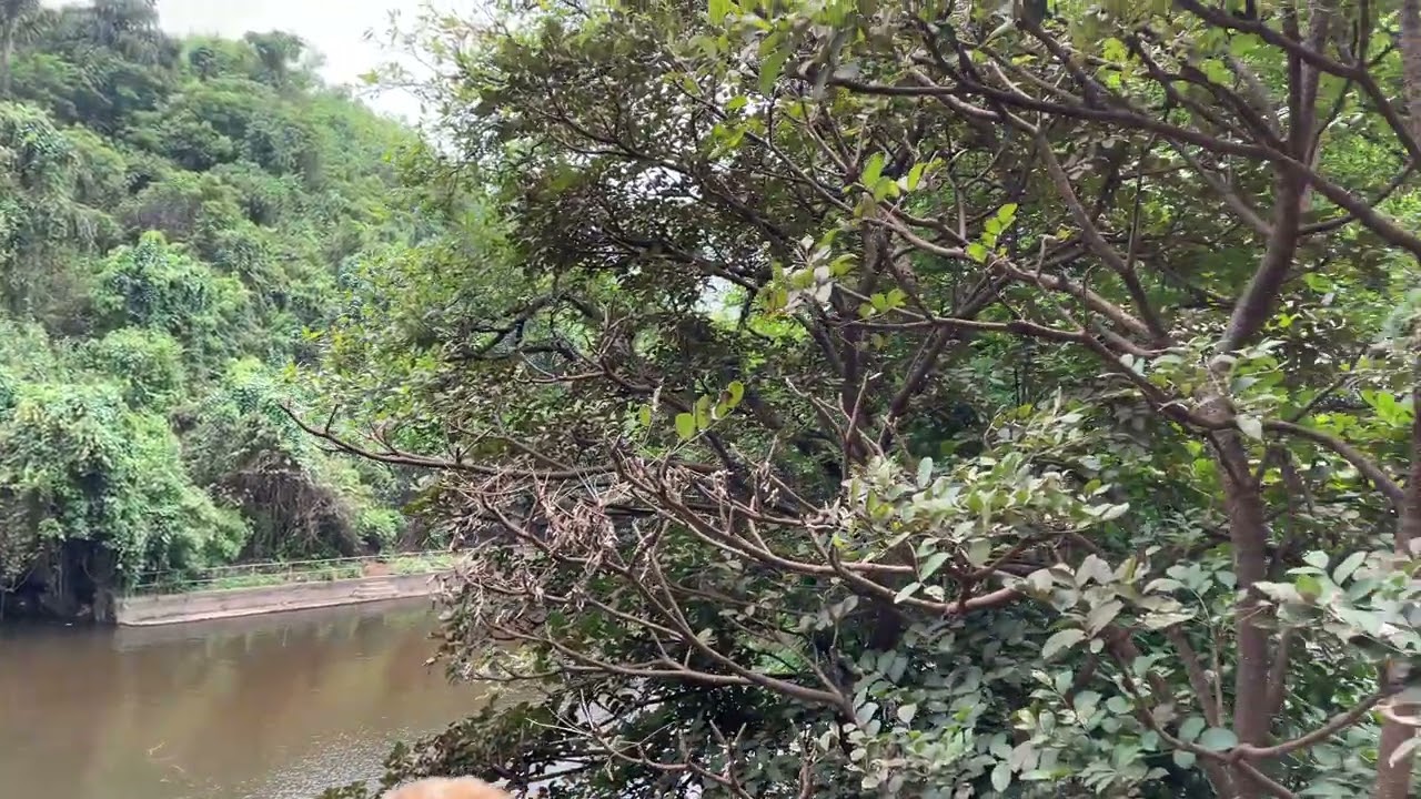 Harvalem Waterfalls Goa | Best Scenic View! Waterfalls in Goa