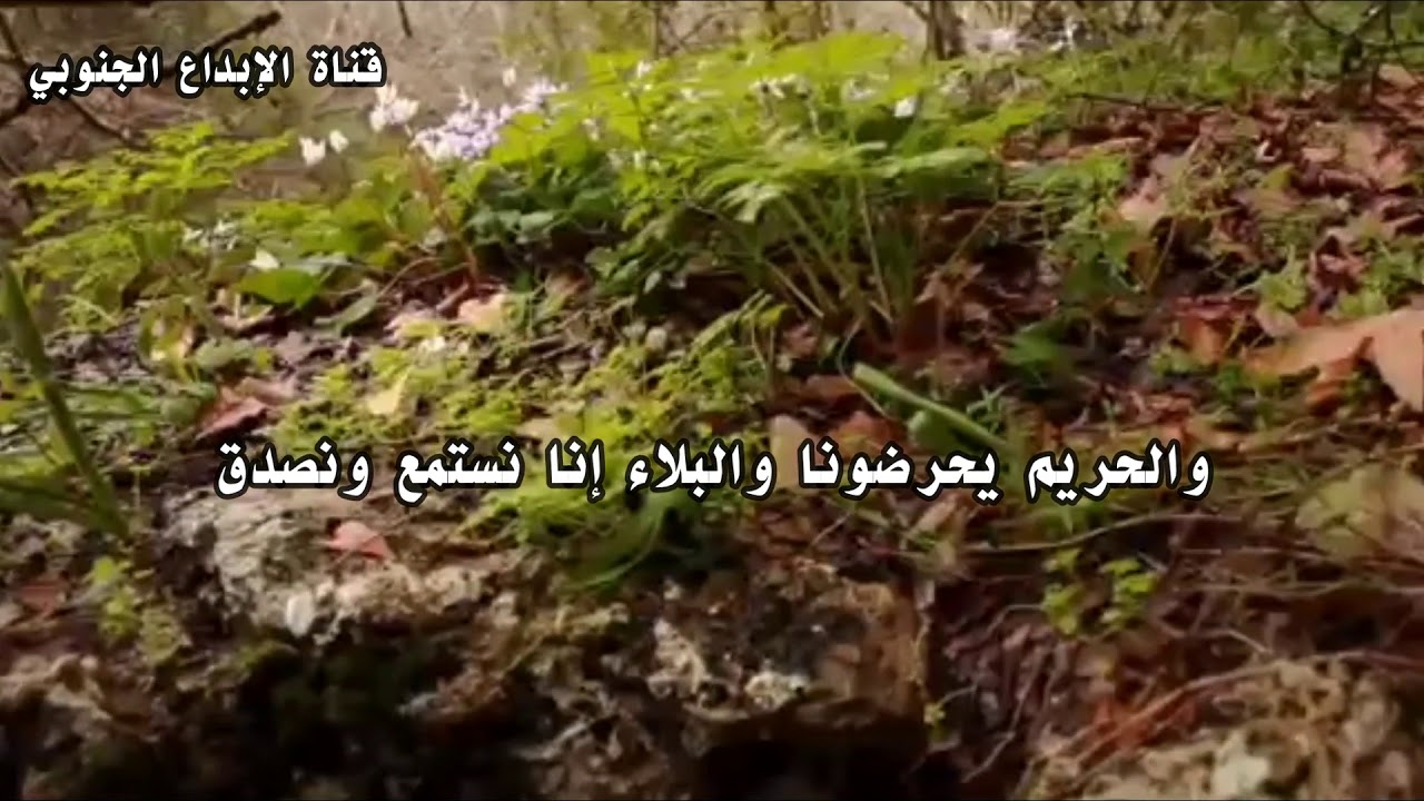 والله إن اللي بلا أخوان مثل من لايدين له