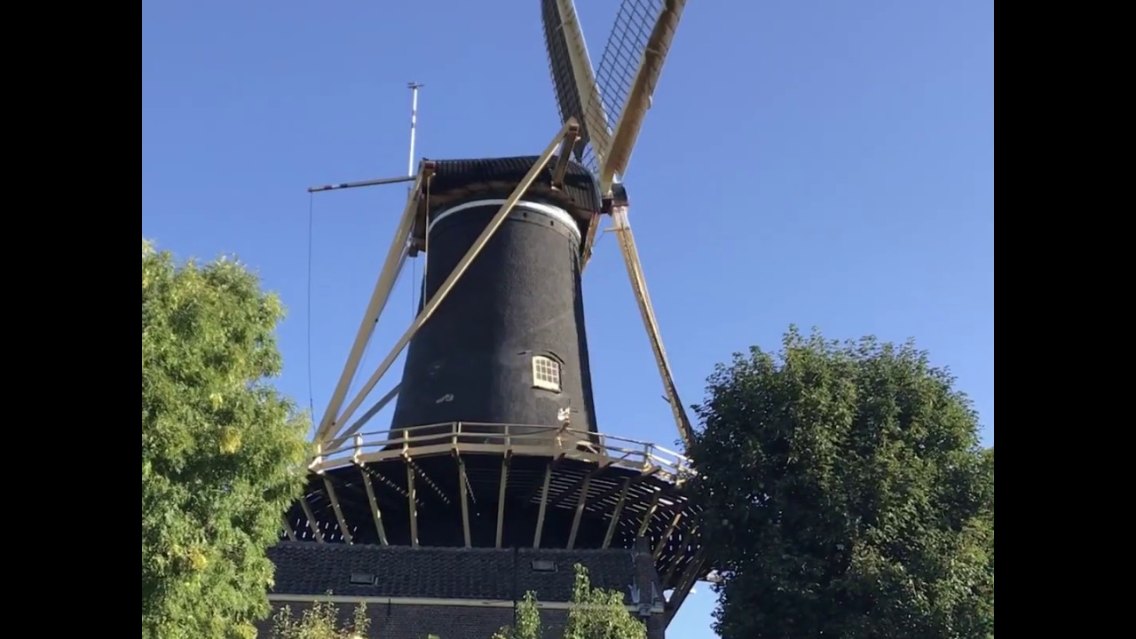 Koren op onze Molens - deel 2