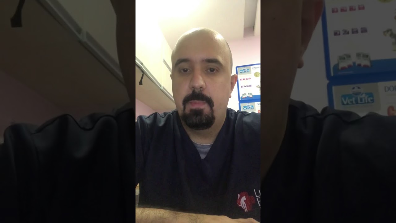 Posso usar gabapentina em pacientes muito bravos?