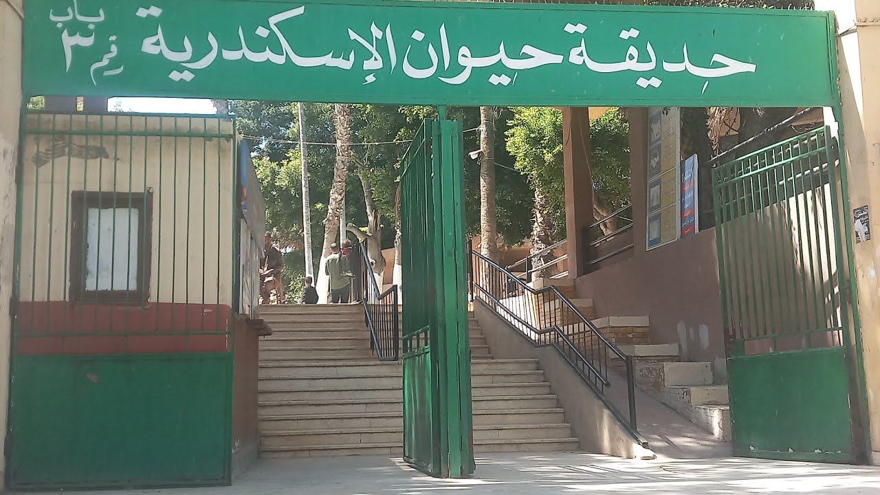 فلوج بحديقة الحيوانات بالأسكندرية 2024 وشوفنا نانسي وزيكو🦧😀