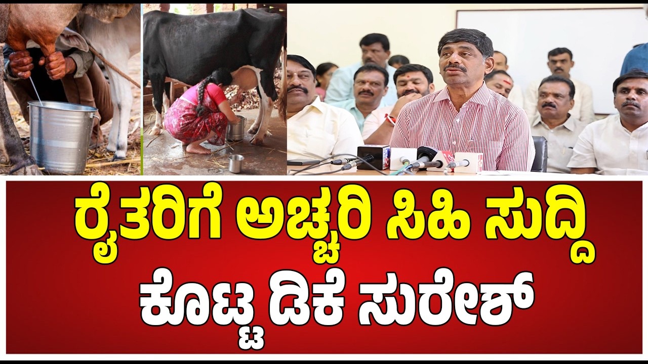 DK Suresh Press Meet: ಮಾಜಿ ಸಂಸದ ಡಿ.ಕೆ ಸುರೇಶ್​ ಮಹತ್ವ ಹೇಳಿಕೆ  #pratidhvani #dksuresh #bamul #farmer