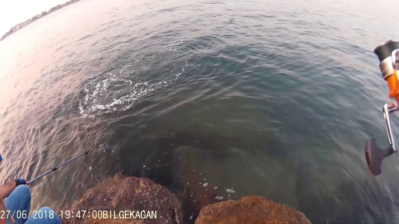 Light Spinning Savage Gear 3D vib 8,5 gr