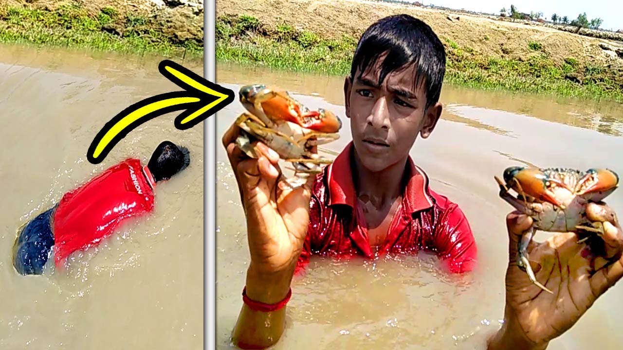 Catch the *Mud Crab* by Diving into the Underwater || Unique Way Of Mud Crabs Catching