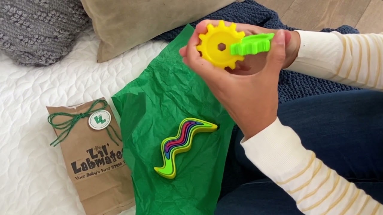 Opening up a Lil' Labmates gift