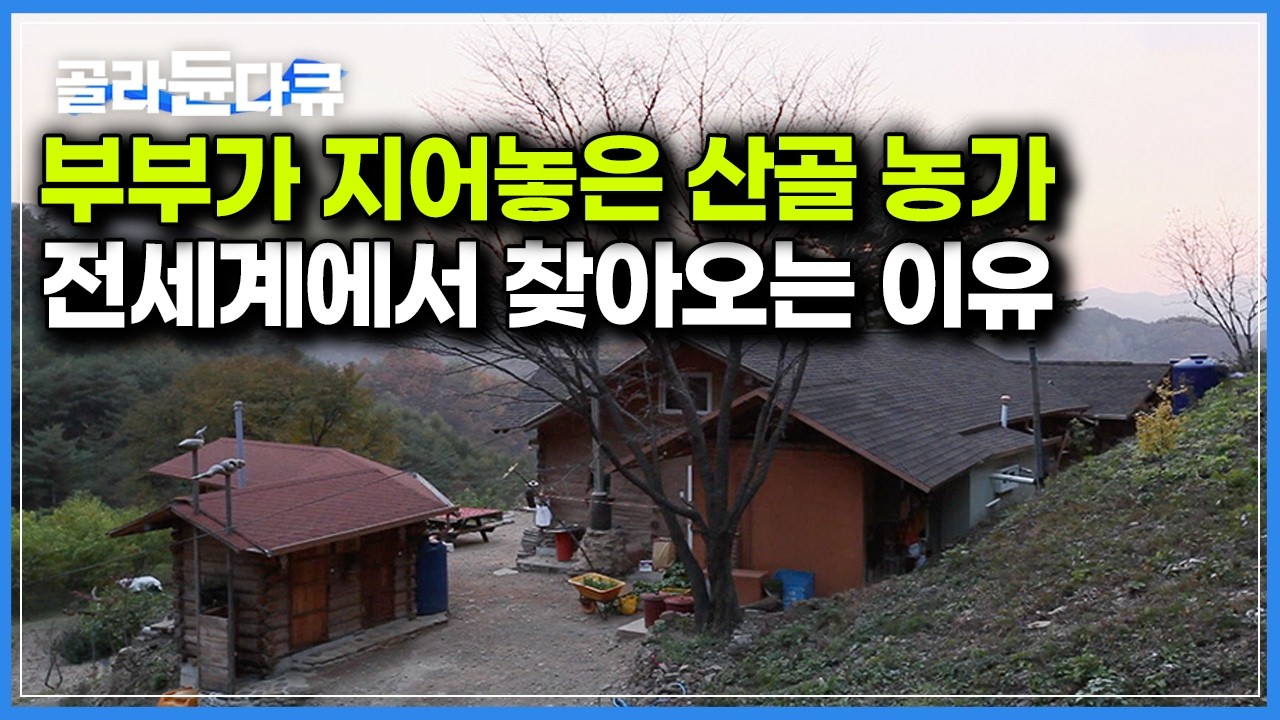 화려하지도 않은 산골 농가에 전세계 각국 사람들이 찾아와서 하는 일｜한국기행｜#골라듄다큐