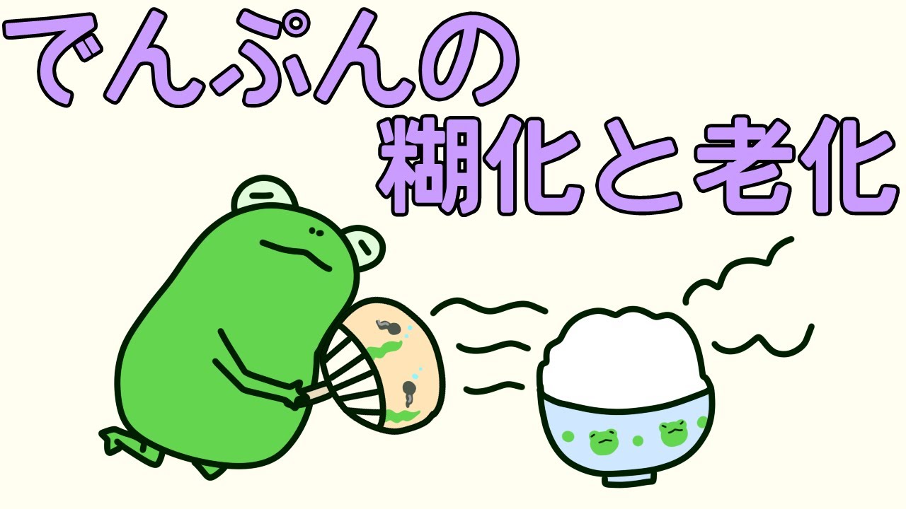 【管理栄養士²の事情】　でんぷんの糊化と老化　【解説】