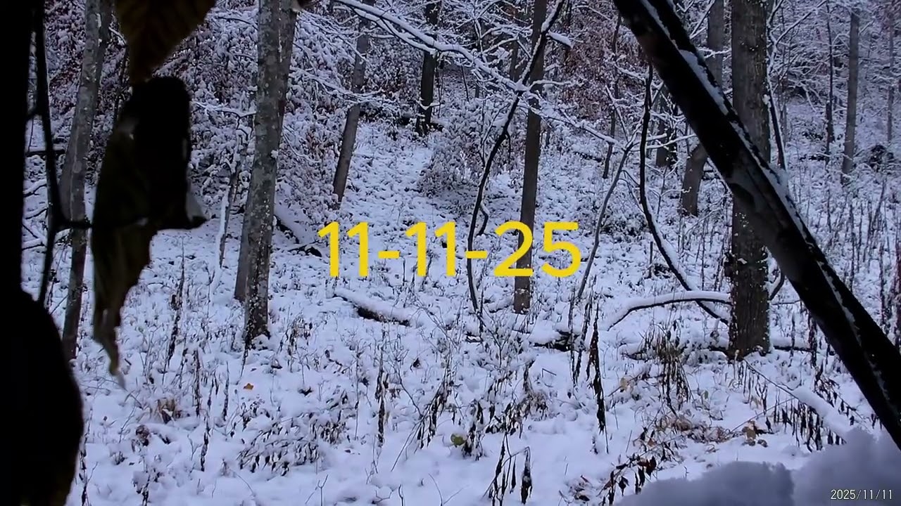 WV ARCHERY SEASON 2025
