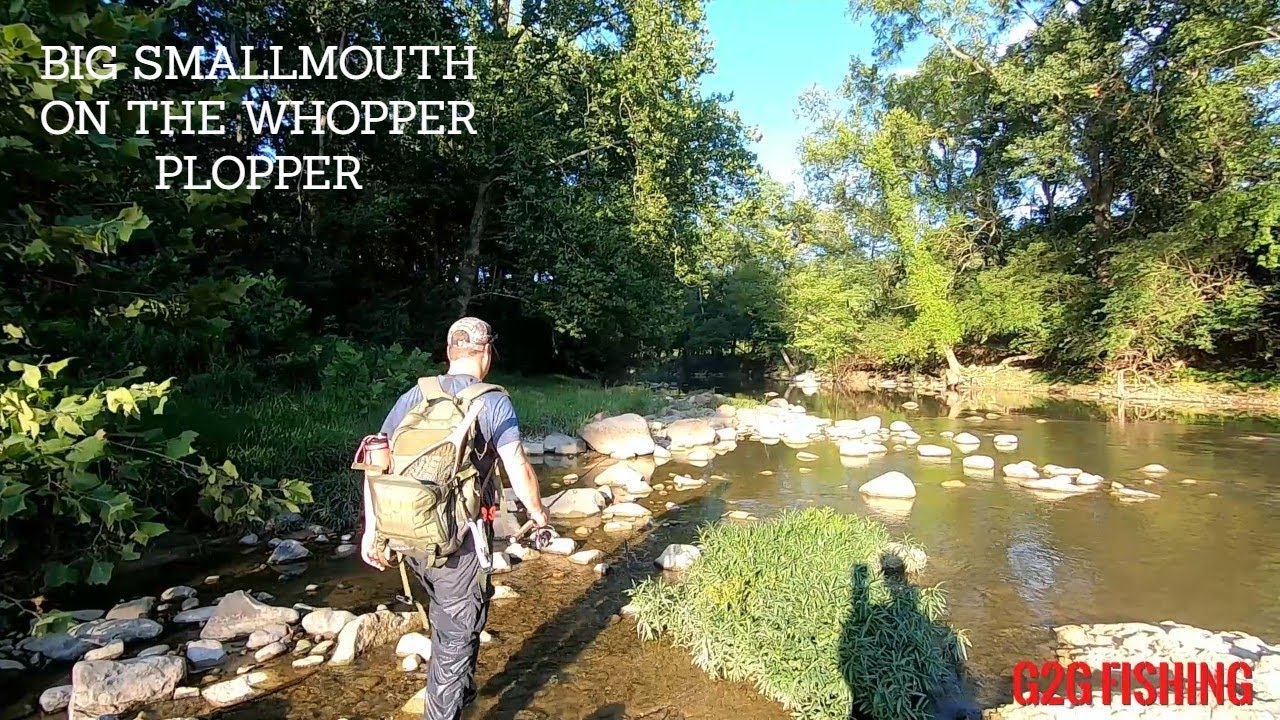 Creek Fishing - BIG SMALLMOUTH on the Whopper Plopper