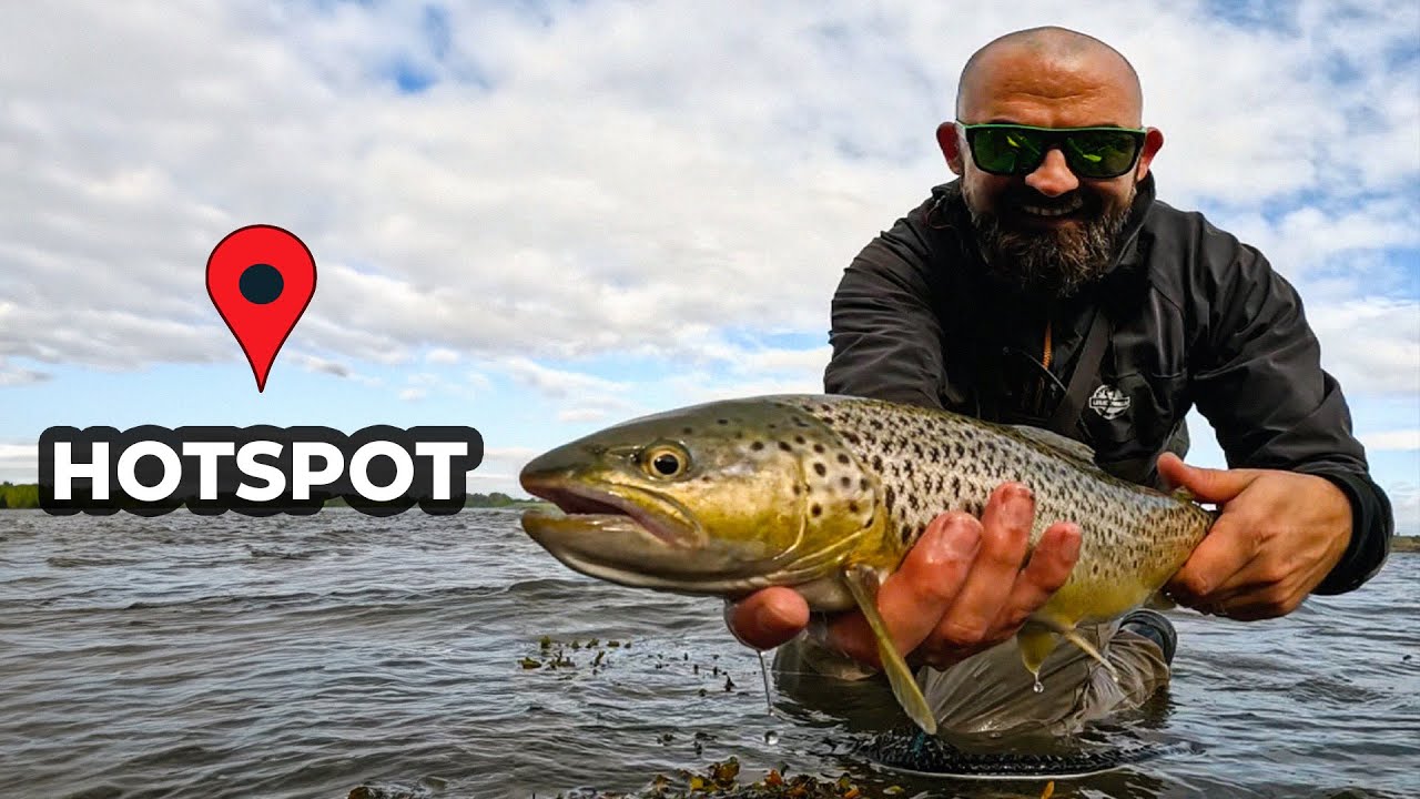 Efterår ved kysten: Sådan fanger du flere havørreder - guide til kystfiskeri