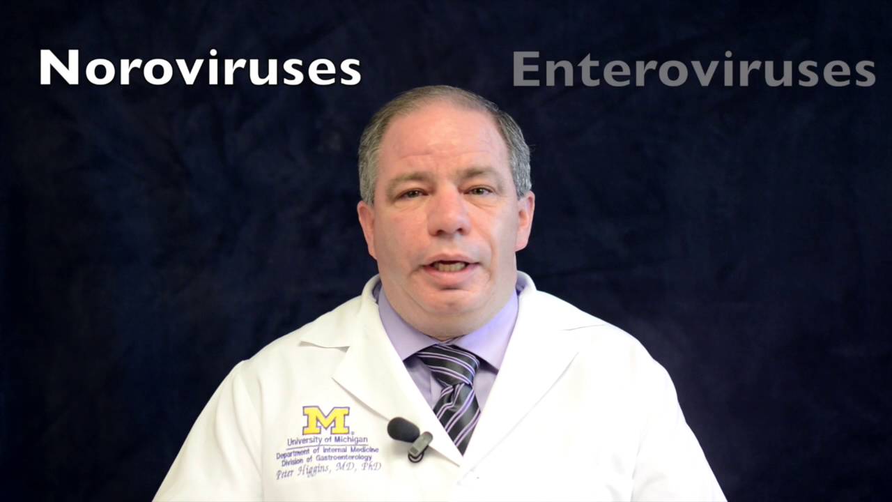 IBD School 206: What Causes Flares?