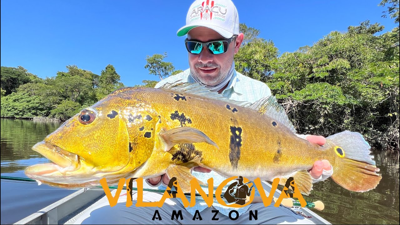 Amazon Vilanova Camaiu Camp Peacock Bass Fishing - 아마존 피콕배스 낚시!