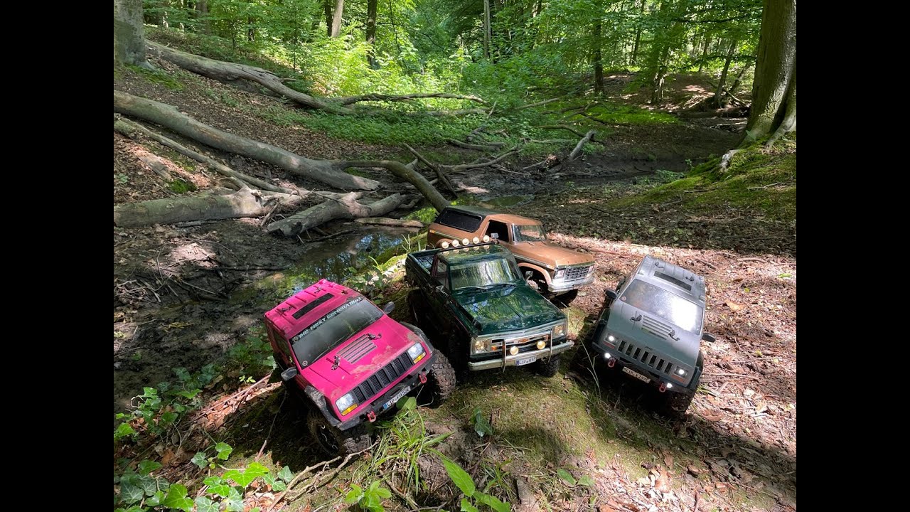 Traxxas TRX | Reely Freemen | Axial | RC Renner best of 2023