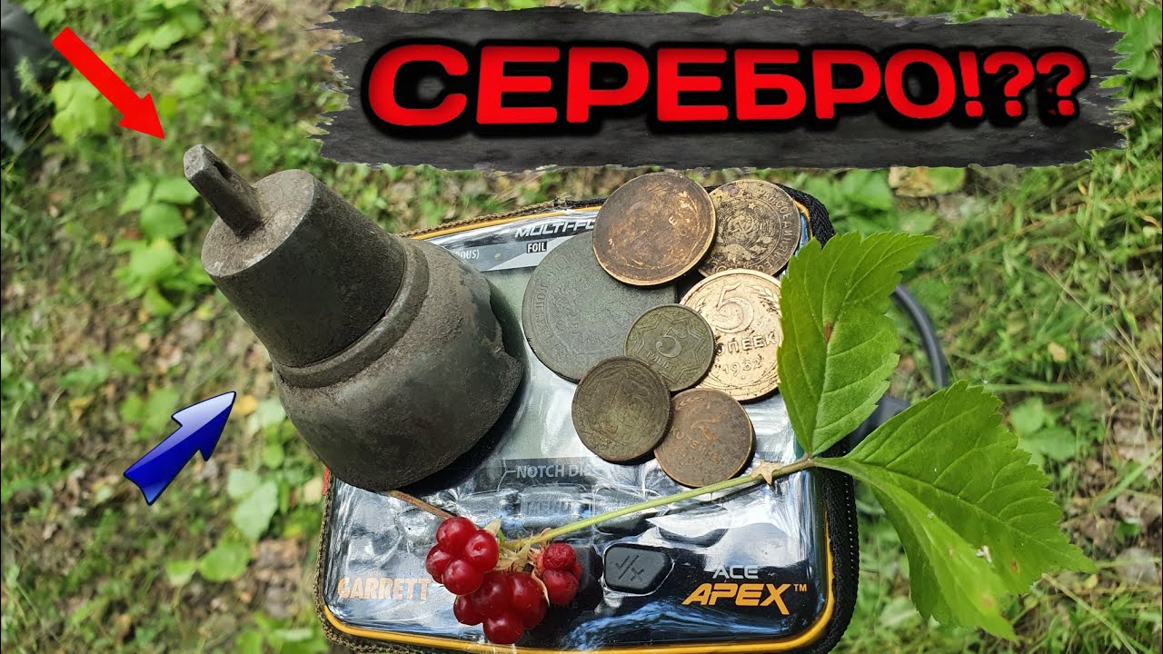 ЧТО Я НАШЁЛ С МЕТАЛЛОИСКАТЕЛЕМ GARRETT ACE APEX. Лесной коп.