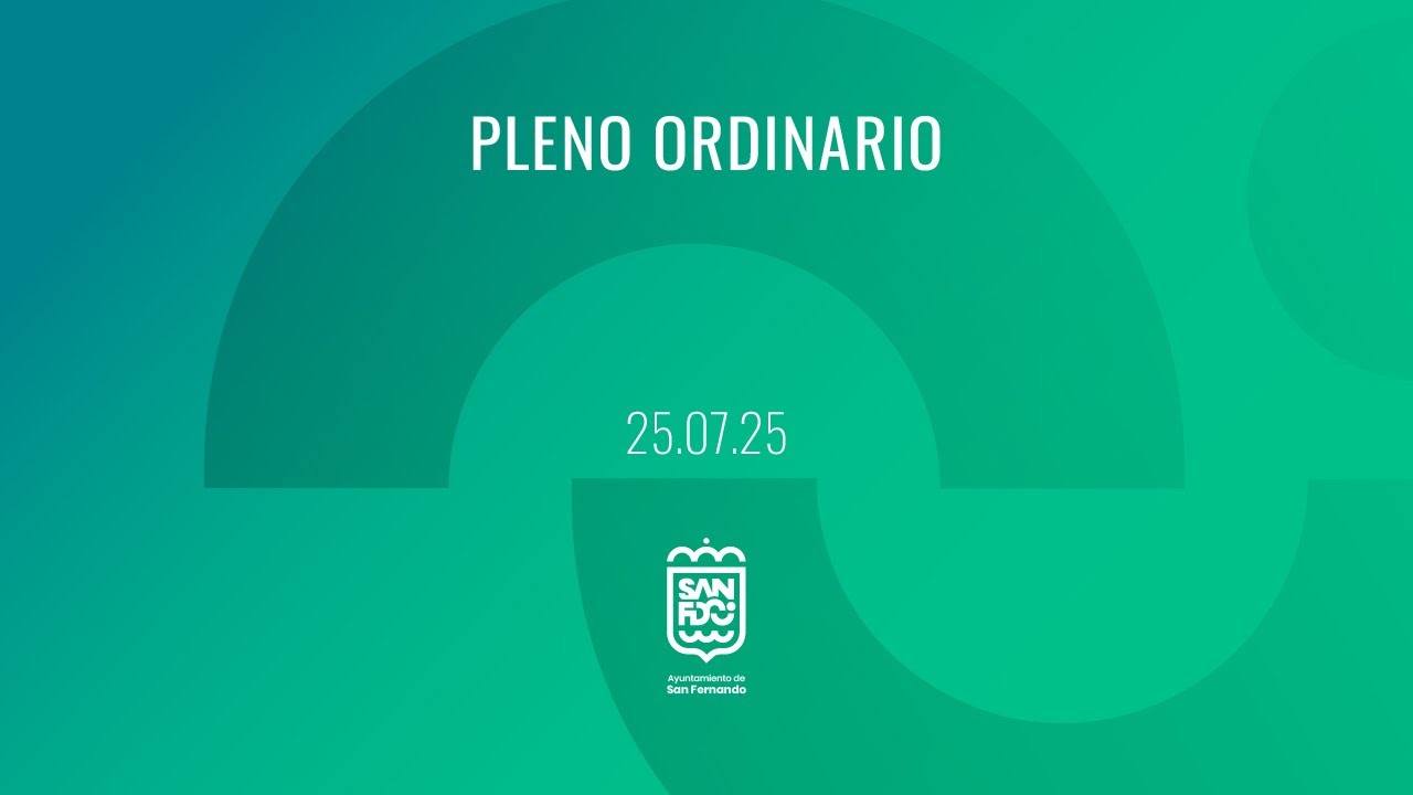 PLENO ORDINARIO 25 DE JULIO DE 2025