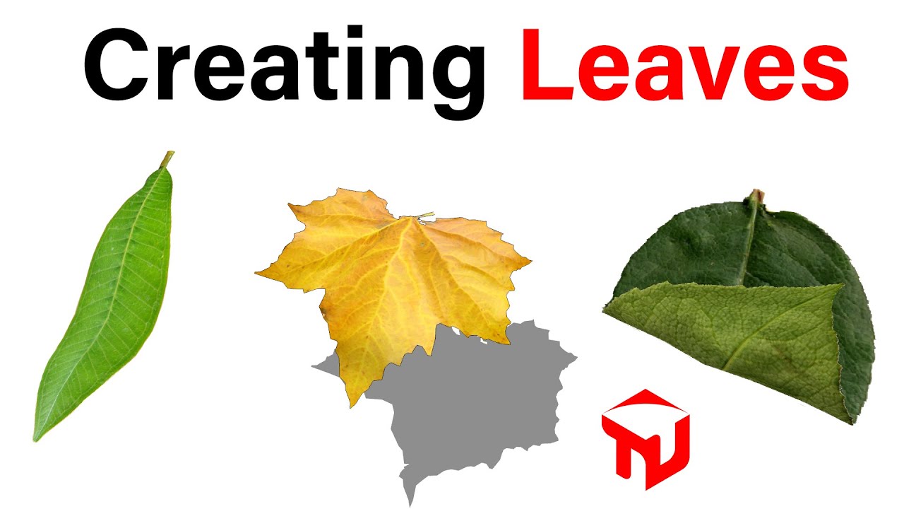 Creating Leaves in SketchUp - Assign Different Materials to Both Sides - TutorialsUp