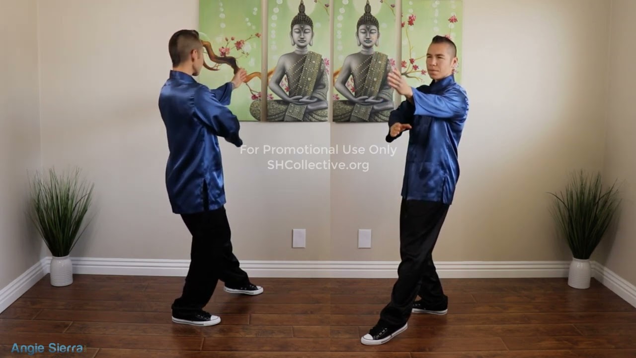 Step-by-Step Tai Chi: Brush Knee and Push / Yang Style