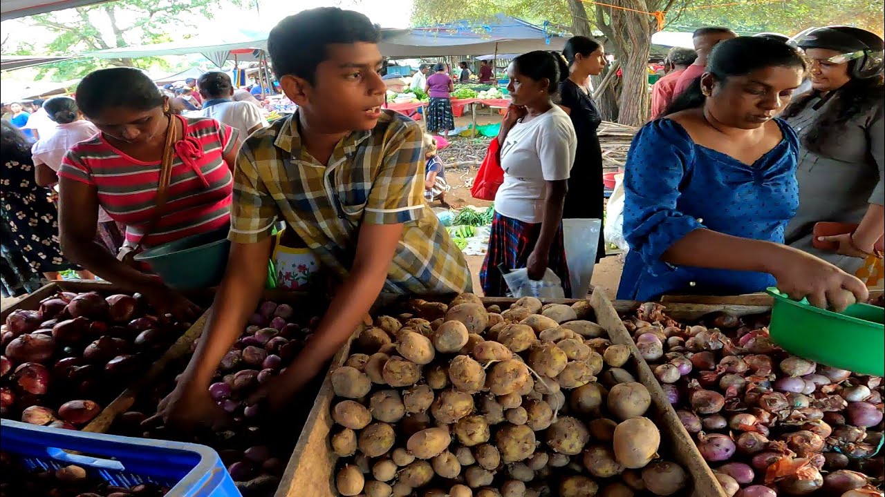 Sri Lankan Weekly Village Market | Business In Sri Lankan Food Market