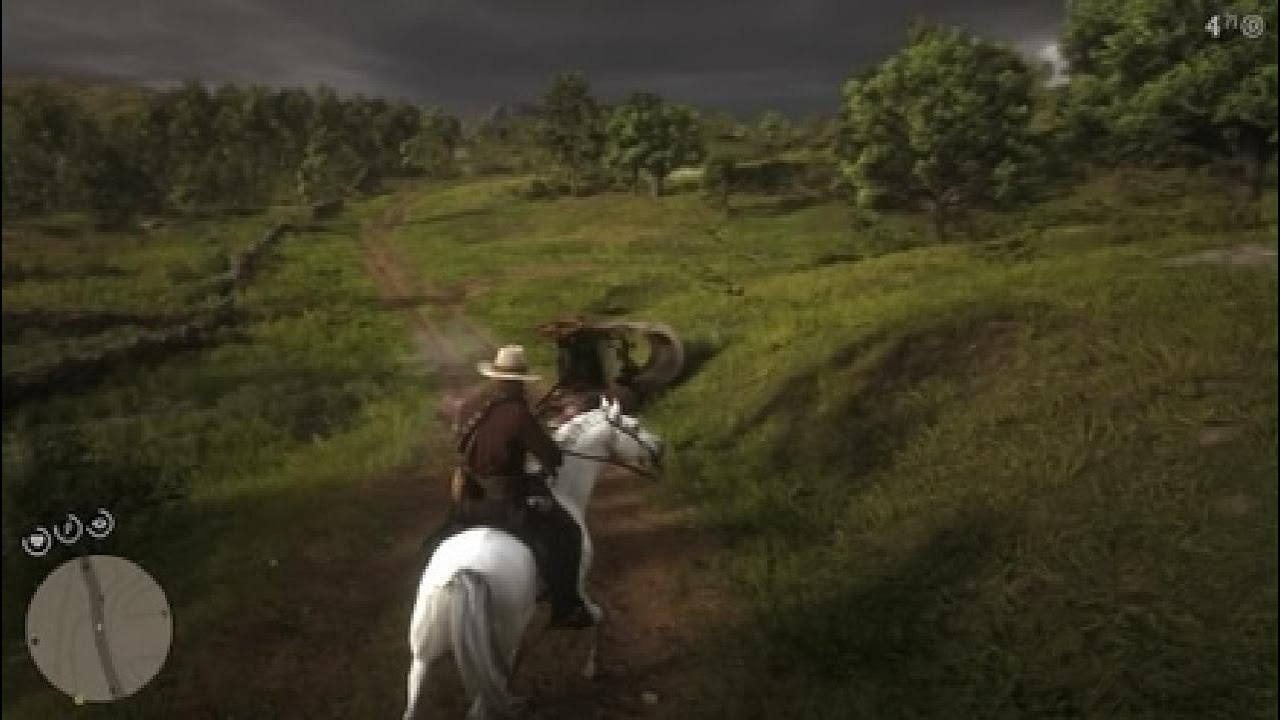 RDR2 GAMEPLAY 43