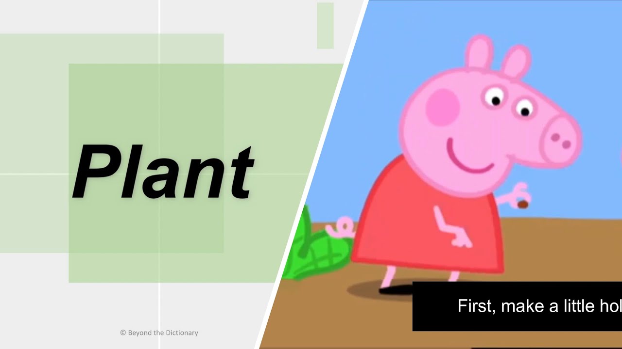 'Plant' | Basic English word | How to plant straberries? | Beyond the Dictionary