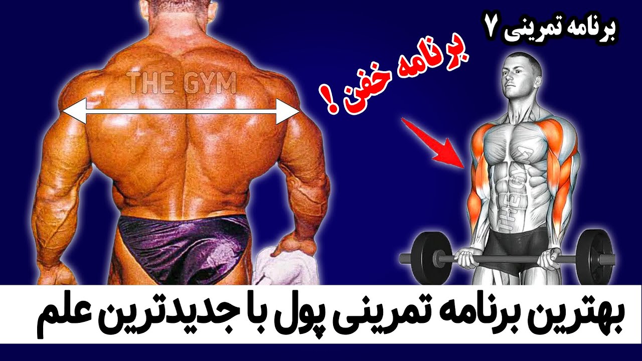 خفنترین برنامه تمرینی روز پشت و جلو بازو با جدیدترین علم بدنسازی - برنامه تمرینی 7