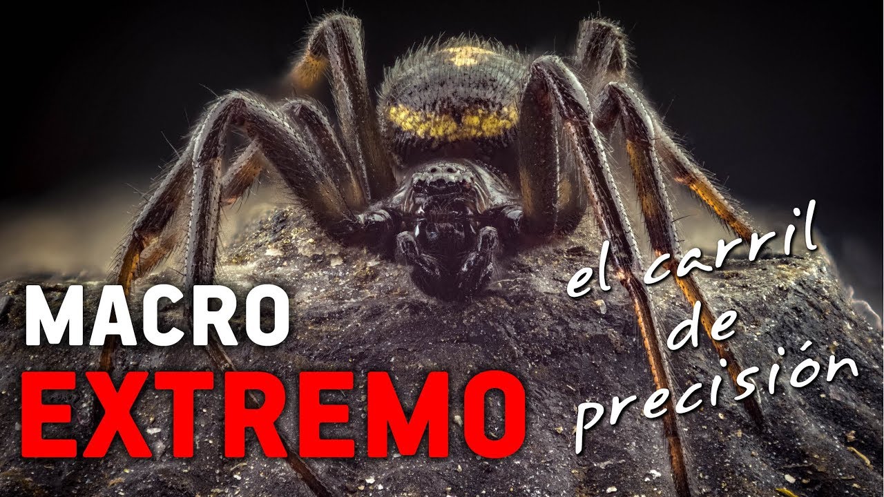 Fotografía MACRO EXTREMO - El carril de precisión