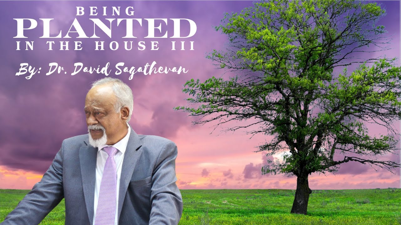 Being Planted in the House Part 3 by Dr. David Sagathevan
