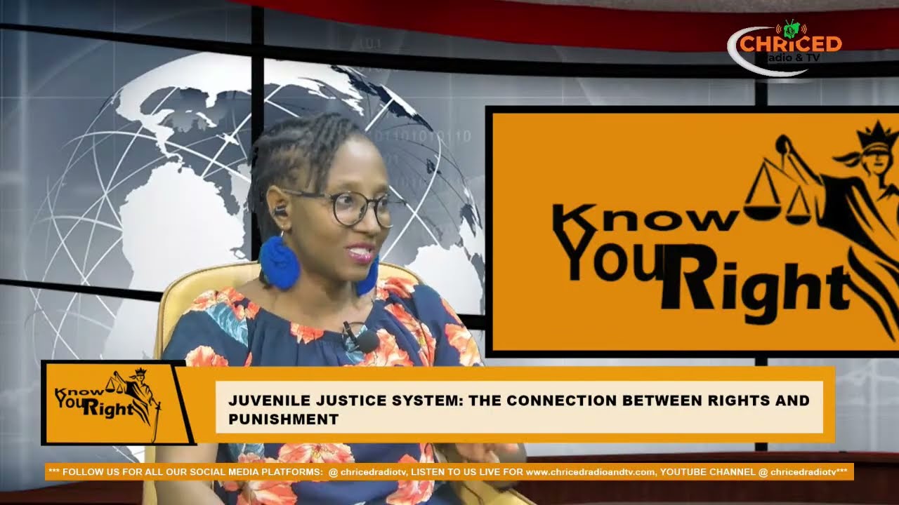 Juvenile Justice System: Understanding the Balance Between Rights and Punishment