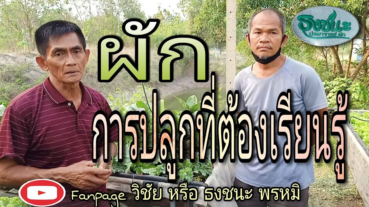 ผัก ที่ควรเรียนรู้ โดย อ.วิชัย หรือ อ.ธงชนะ พรหมมิ พร้อมด้วย อ.สมชาย หนองแสง (ศิษย์ เอก)