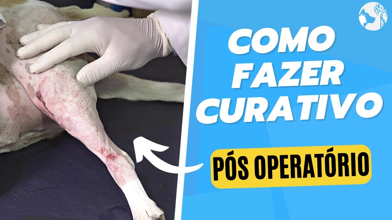 COMO FAZER CURATIVOS AP&Oacute;S A CIRURGIA