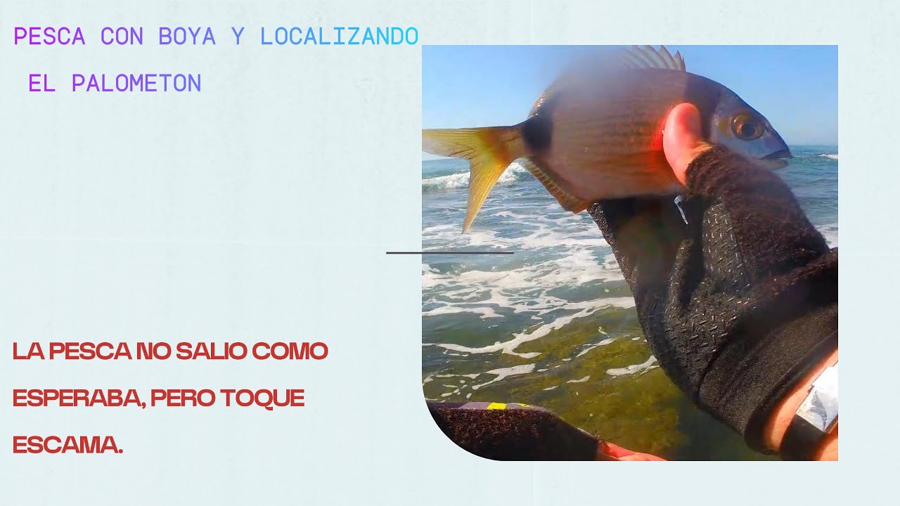 PESCA CON BOYA Y LOCALIZANDO EL PALOMETON
