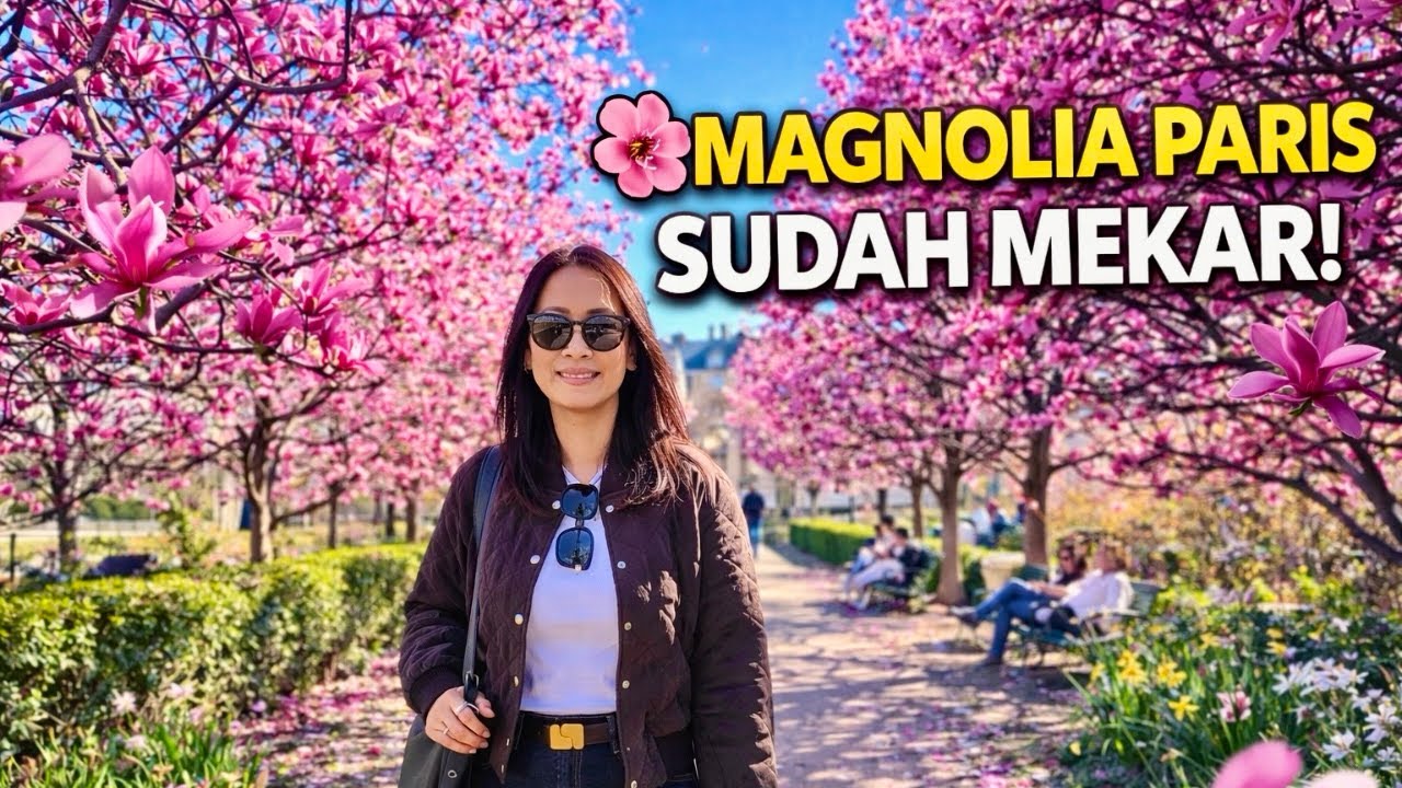 MAGNOLIA SUDAH MEKAR DI PARIS 🌸 Spring Datang Lebih Awal!