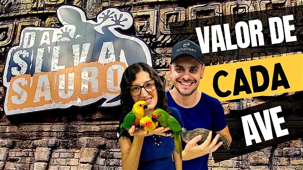 VALOR DAS AVES | NA LOJA DA SILVA SAURO