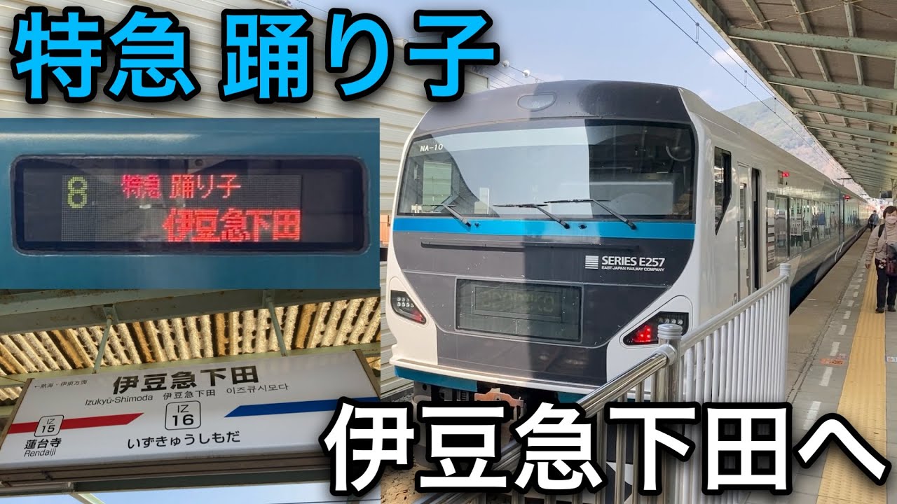 【鉄道開業150年記念旅 #5】海の景色を眺めて進む！特急踊り子で伊豆急下田へ！