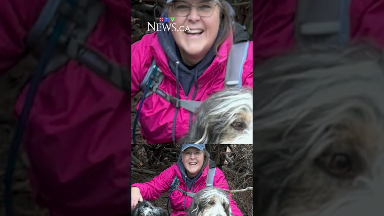 B.C. shooting fuels flood of misinformation about trans people online