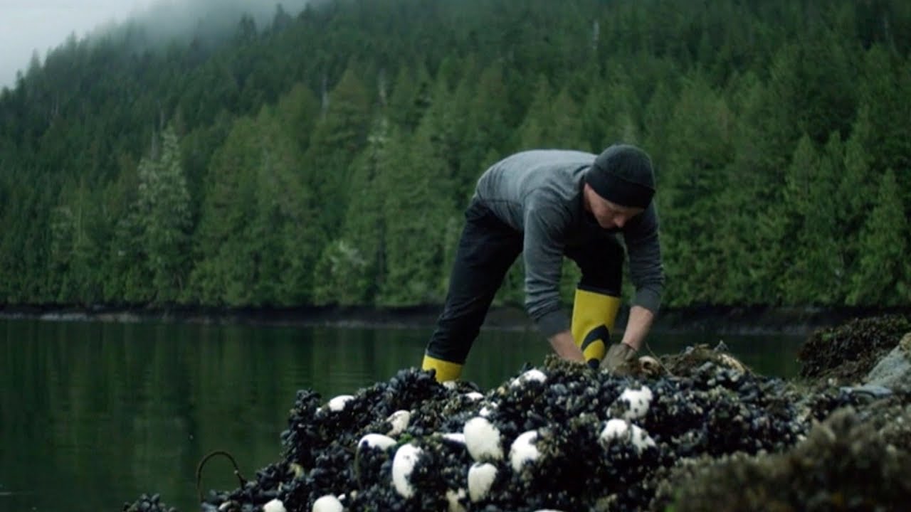 Lost and abandoned fishing gear is destroying B.C. marine life