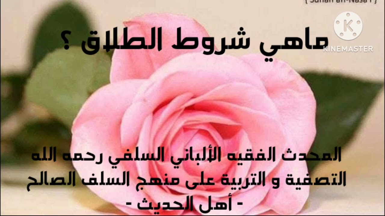 الإمام الألباني السلفي رحمة الله عليه / ماهي شروط الطلاق السني ؟