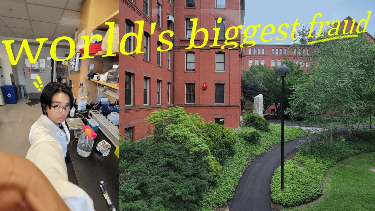 i faked my way into harvard