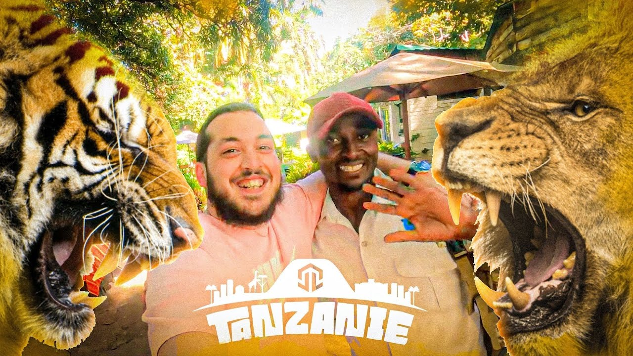 Le débat tant attendu, LION VS TIGRE qui gagne ? (JOUR 8)