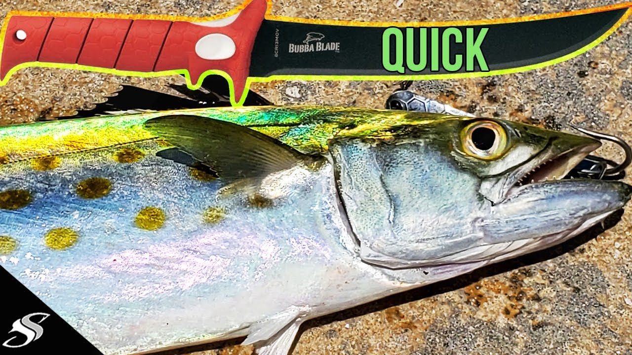 How to Clean a Spanish Mackerel in Under Two Minutes 😎
