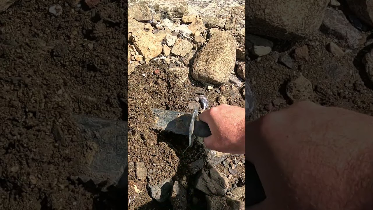 Зажатый между камнями #металлоискатель